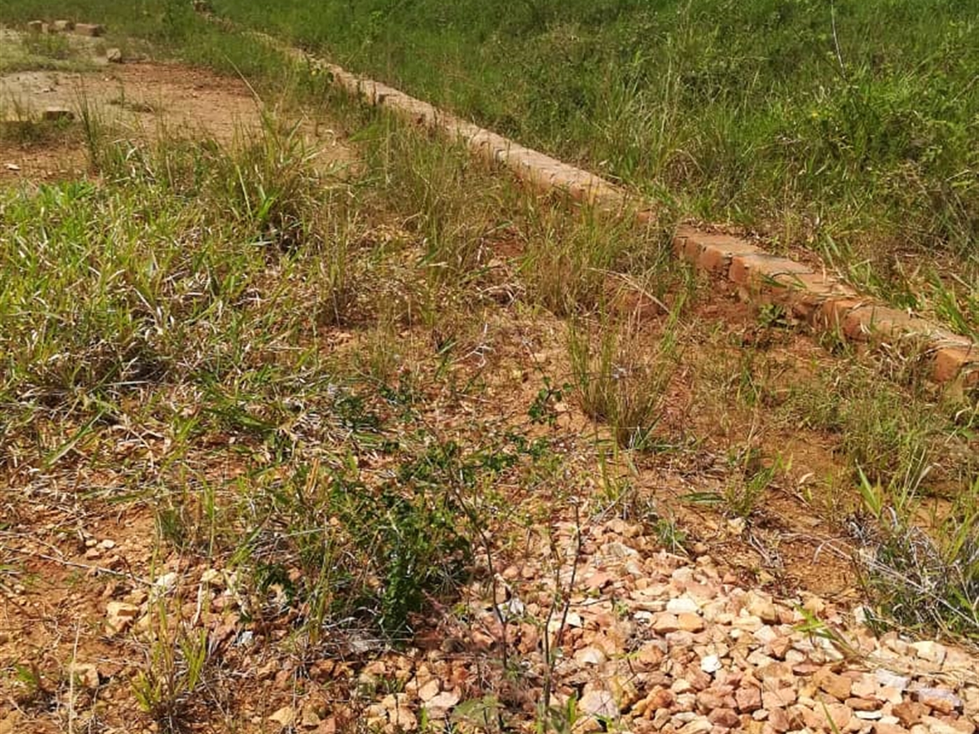 Residential Land for sale in Wantoni Mukono