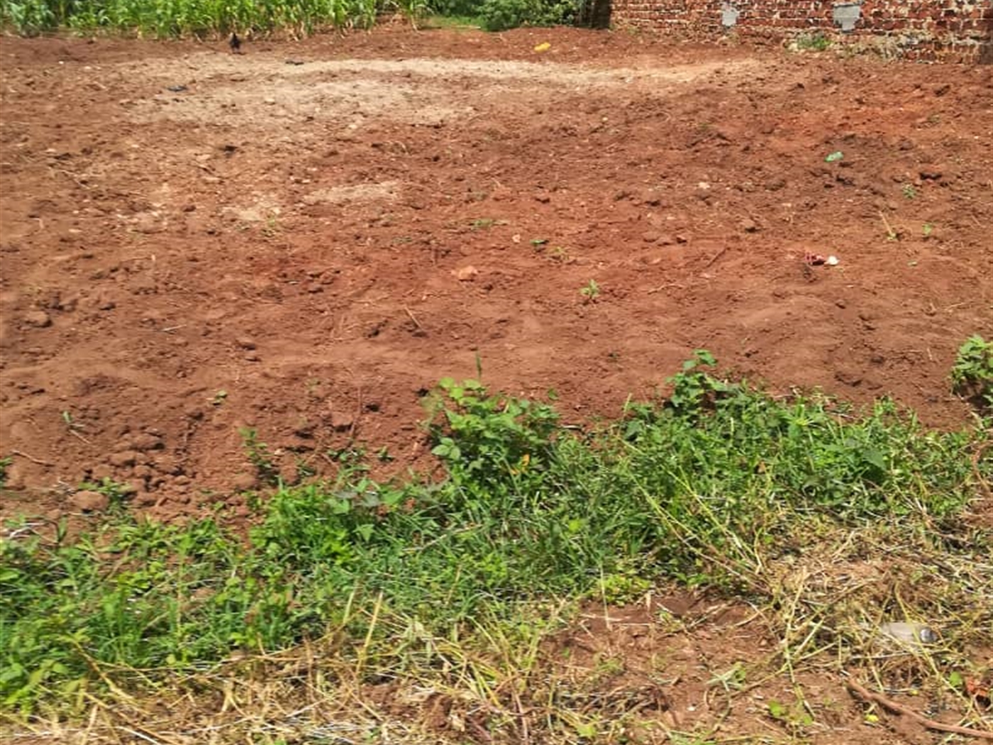 Residential Land for sale in Ucu Mukono