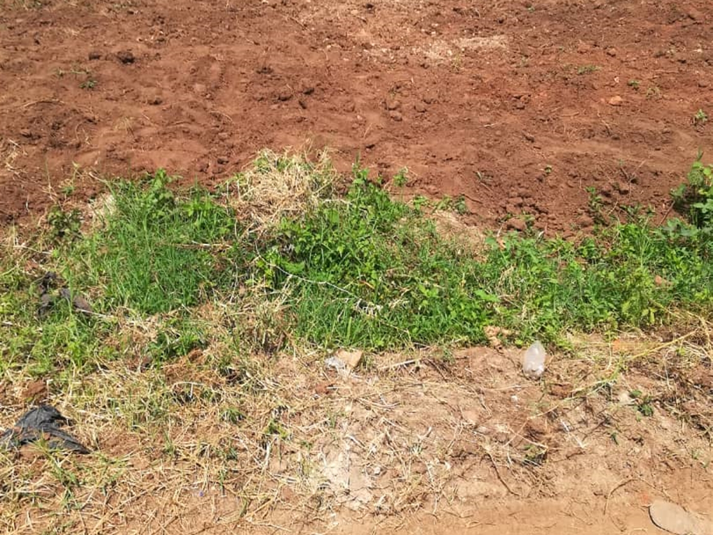 Residential Land for sale in Ucu Mukono