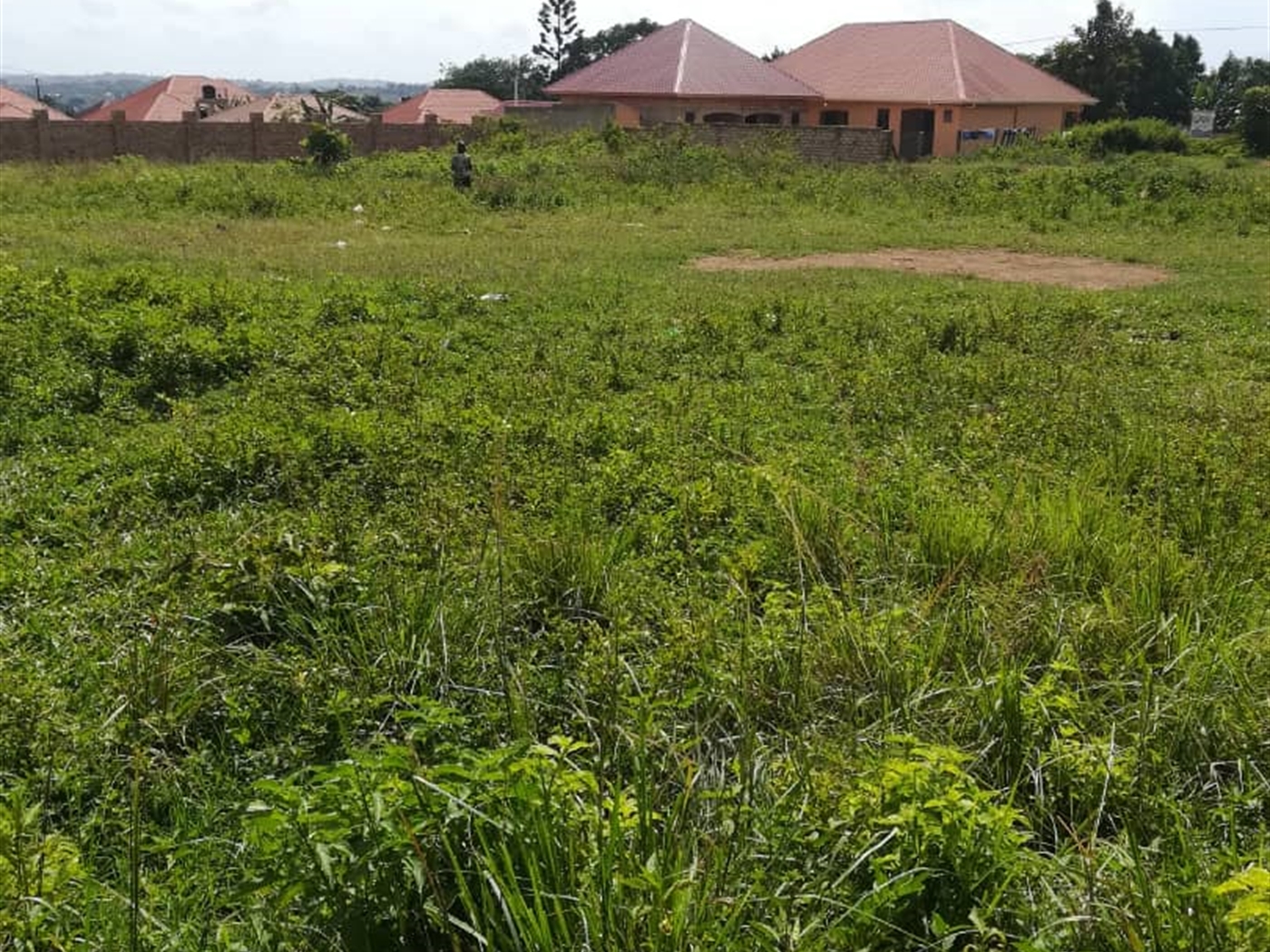 Residential Land for sale in Ucu Mukono