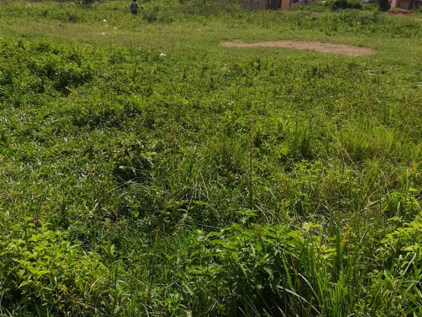 Residential Land for sale in Ucu Mukono