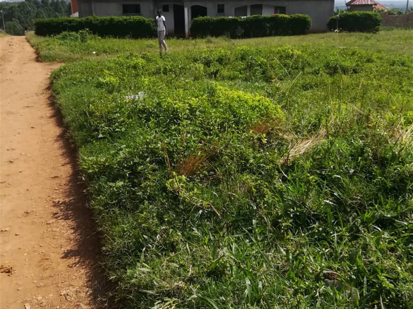 Residential Land for sale in Kigunga Mukono