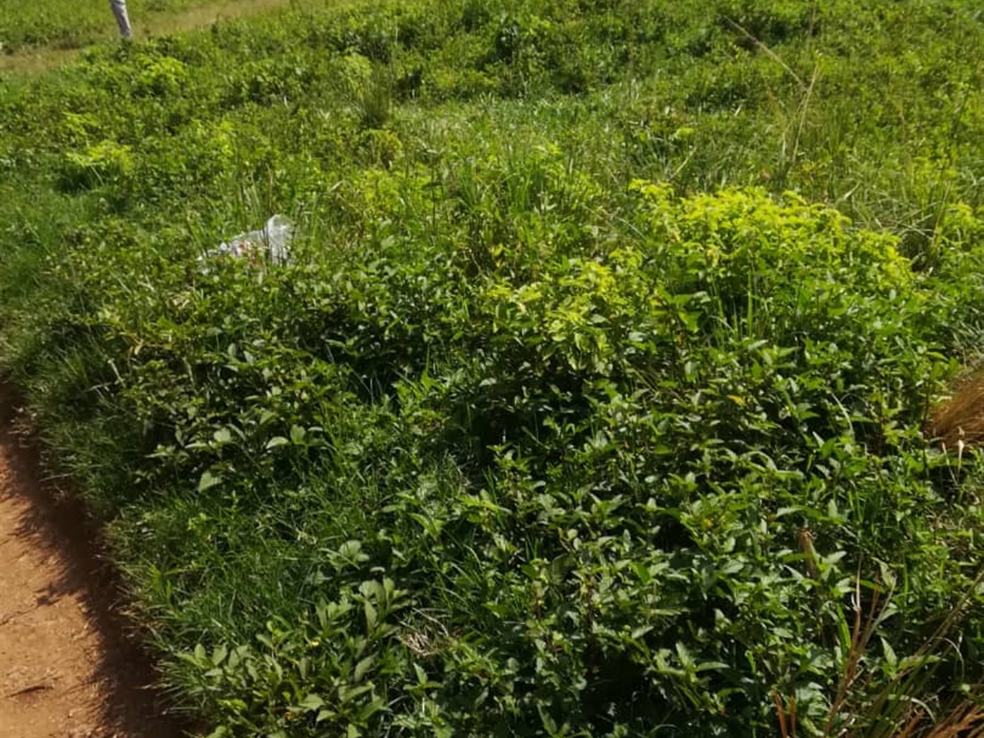 Residential Land for sale in Kigunga Mukono