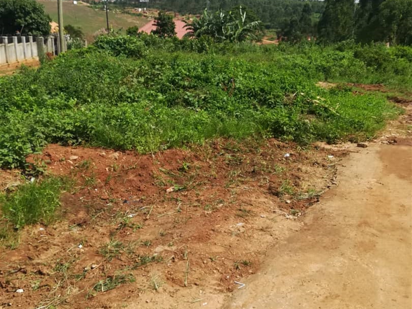 Residential Land for sale in Kigunga Mukono