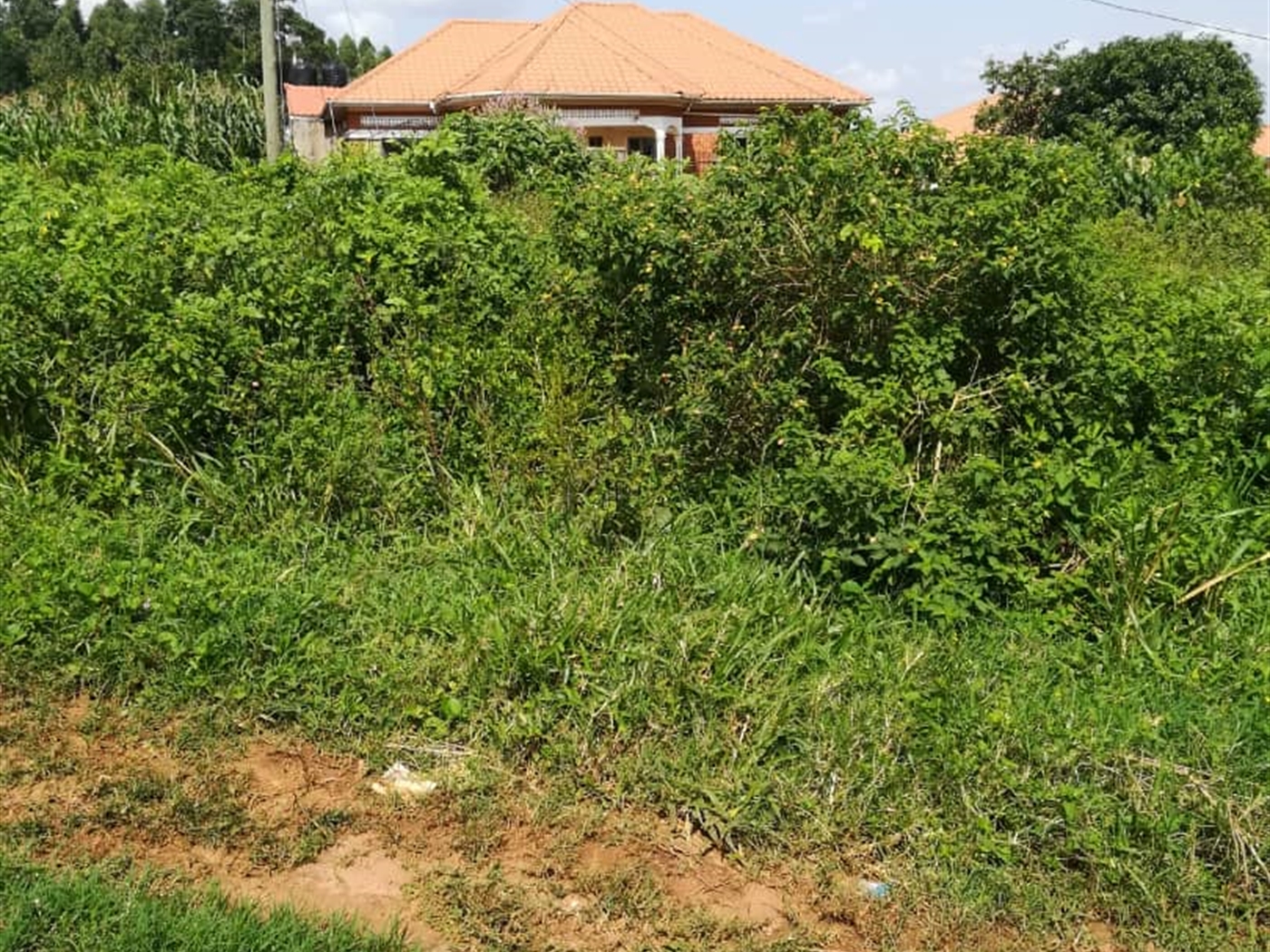 Residential Land for sale in Kigunga Mukono