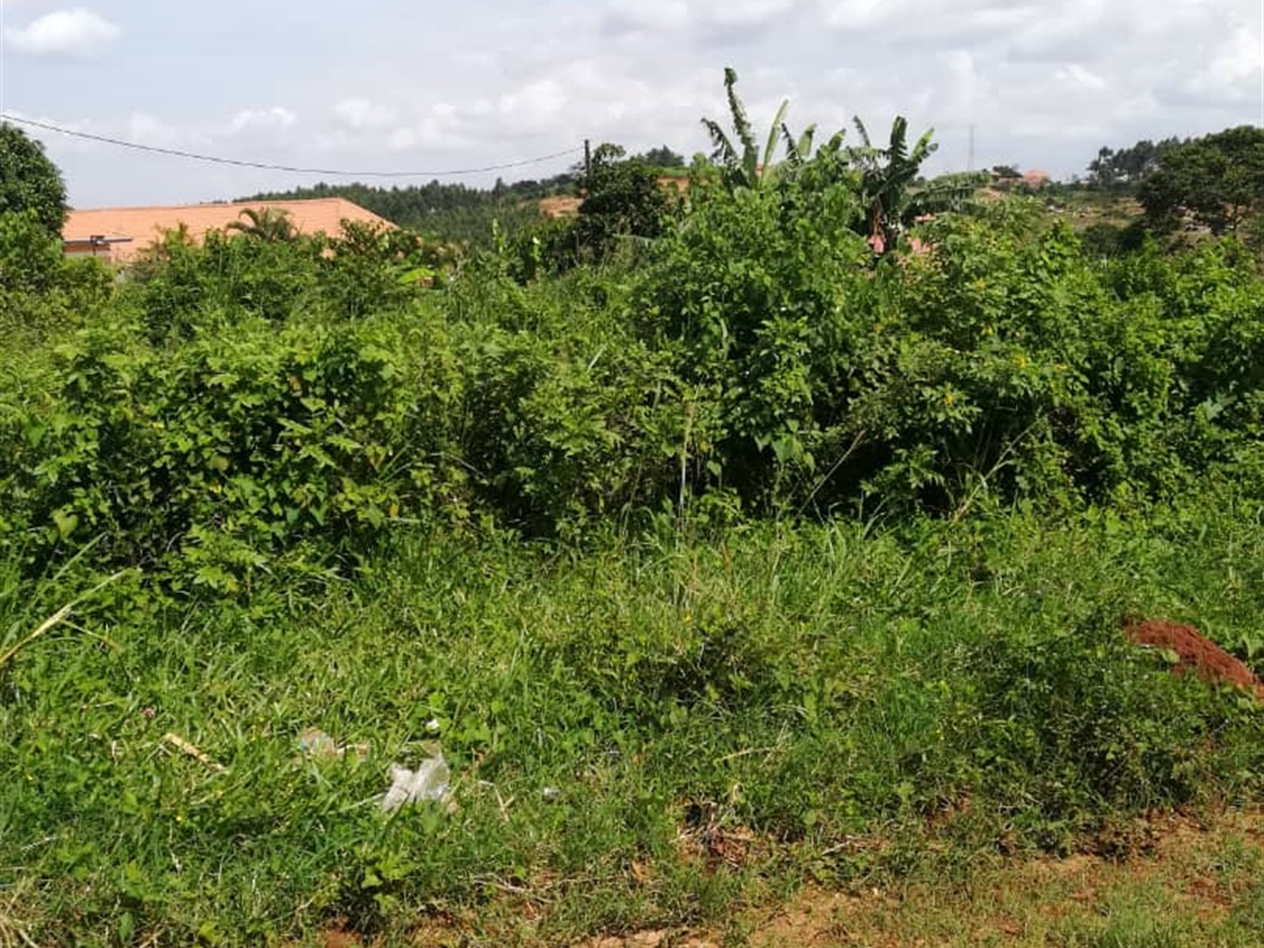 Residential Land for sale in Kigunga Mukono