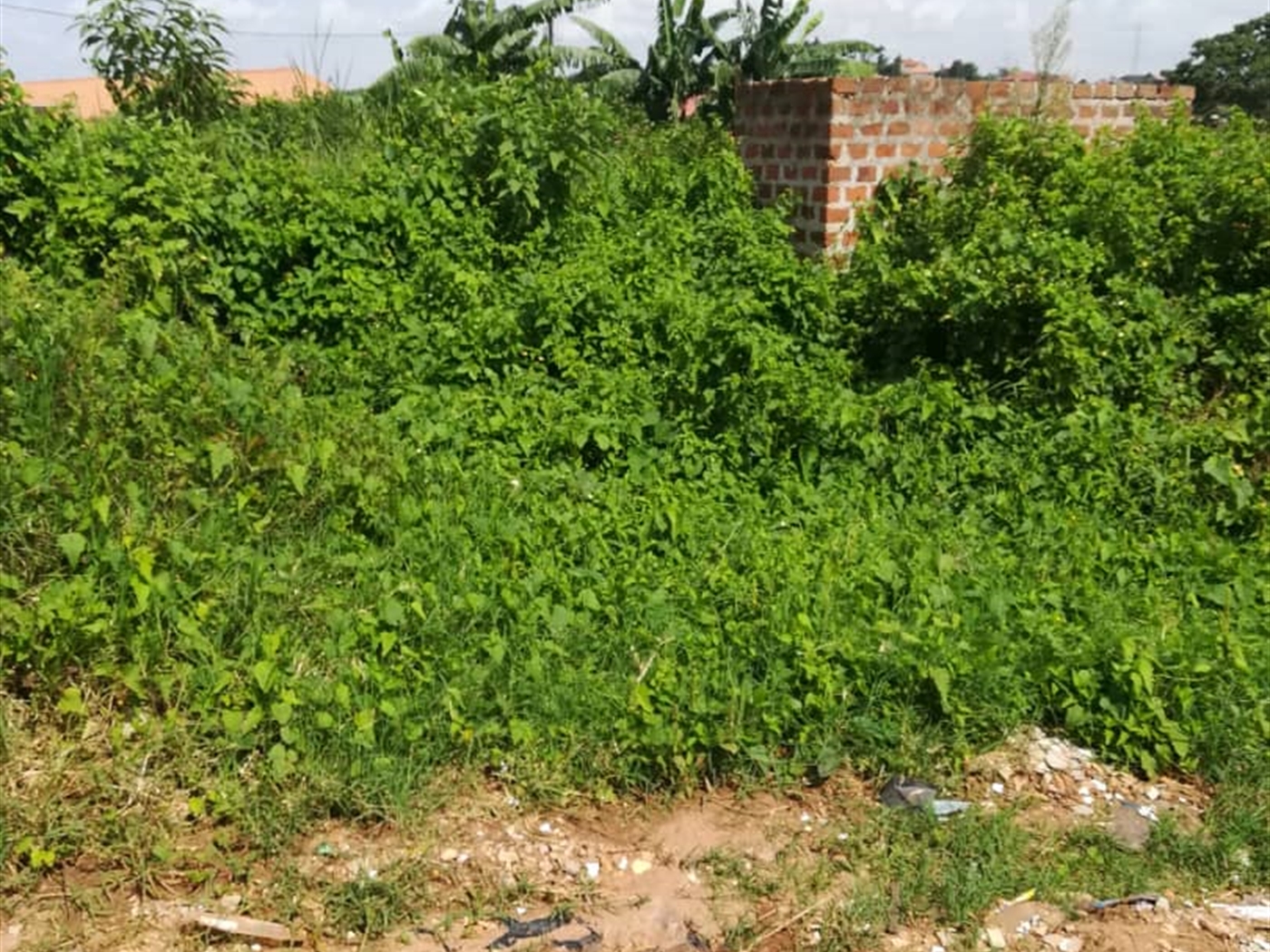 Residential Land for sale in Kigunga Mukono