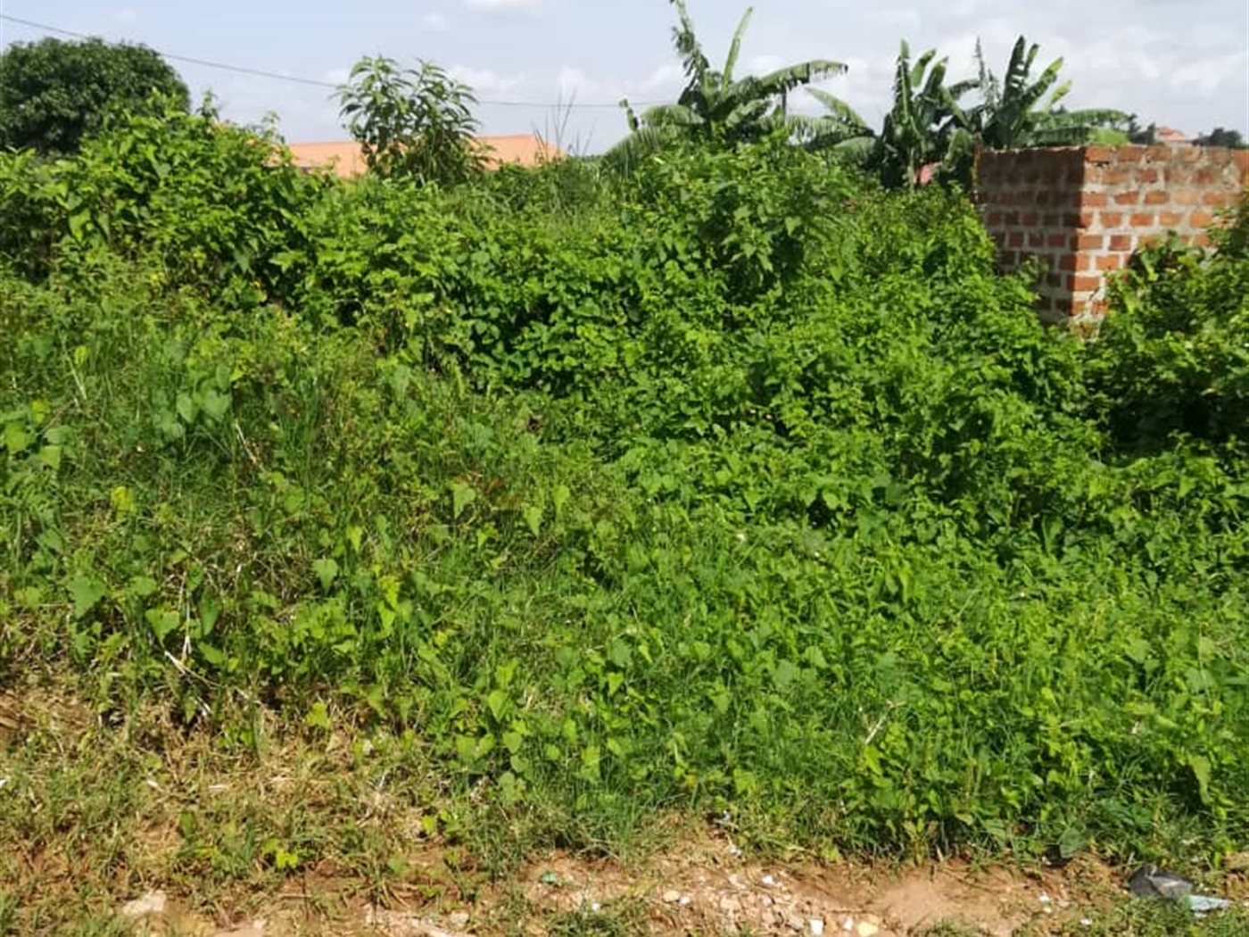 Residential Land for sale in Kigunga Mukono