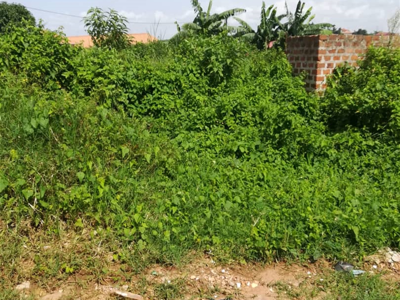 Residential Land for sale in Kigunga Mukono