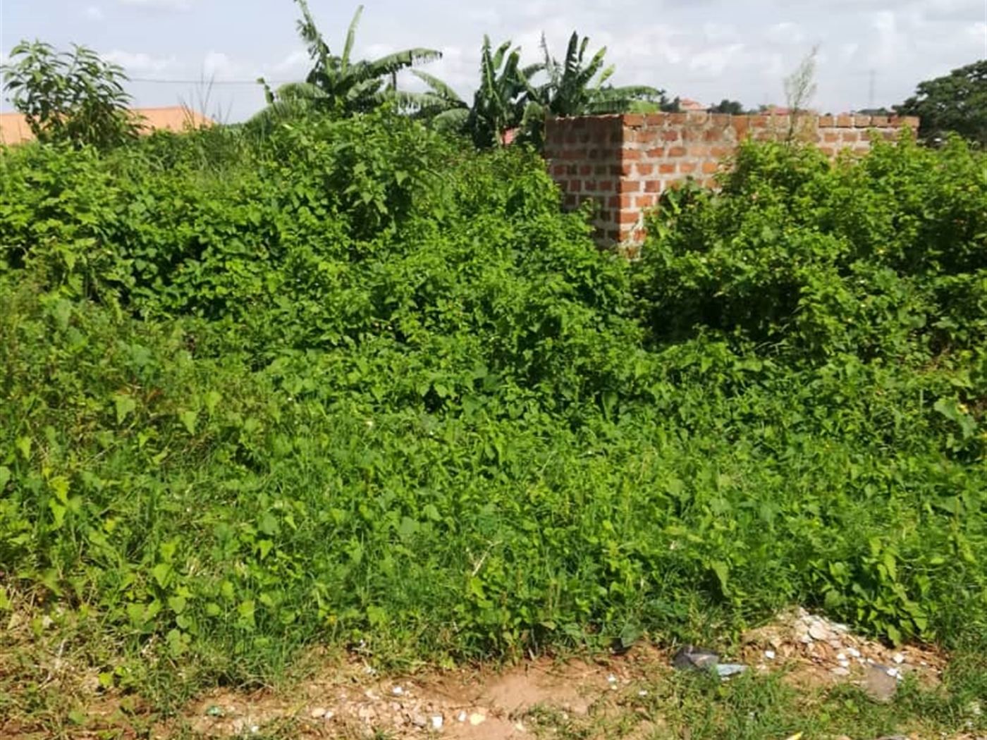 Residential Land for sale in Kigunga Mukono