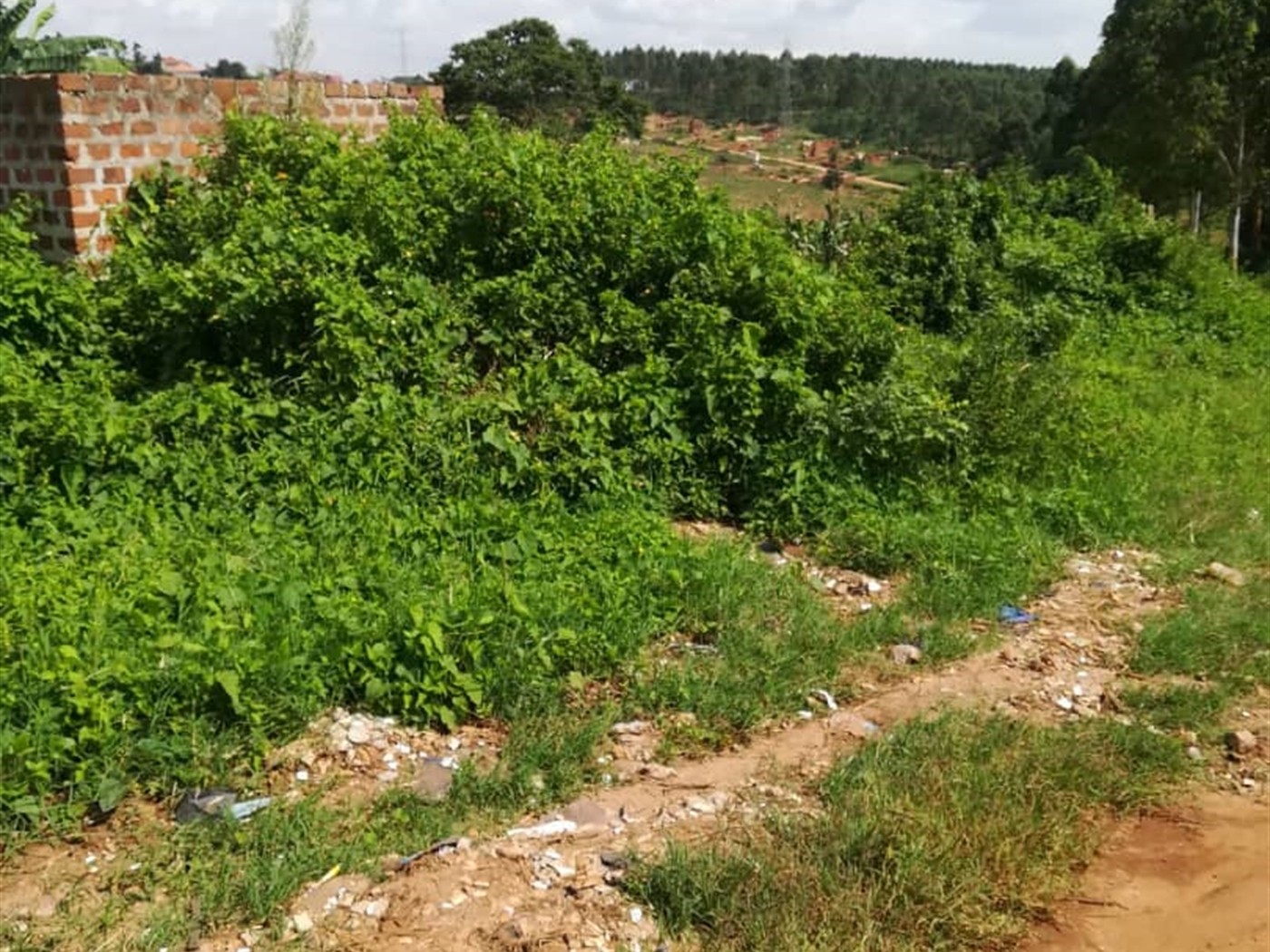 Residential Land for sale in Kigunga Mukono