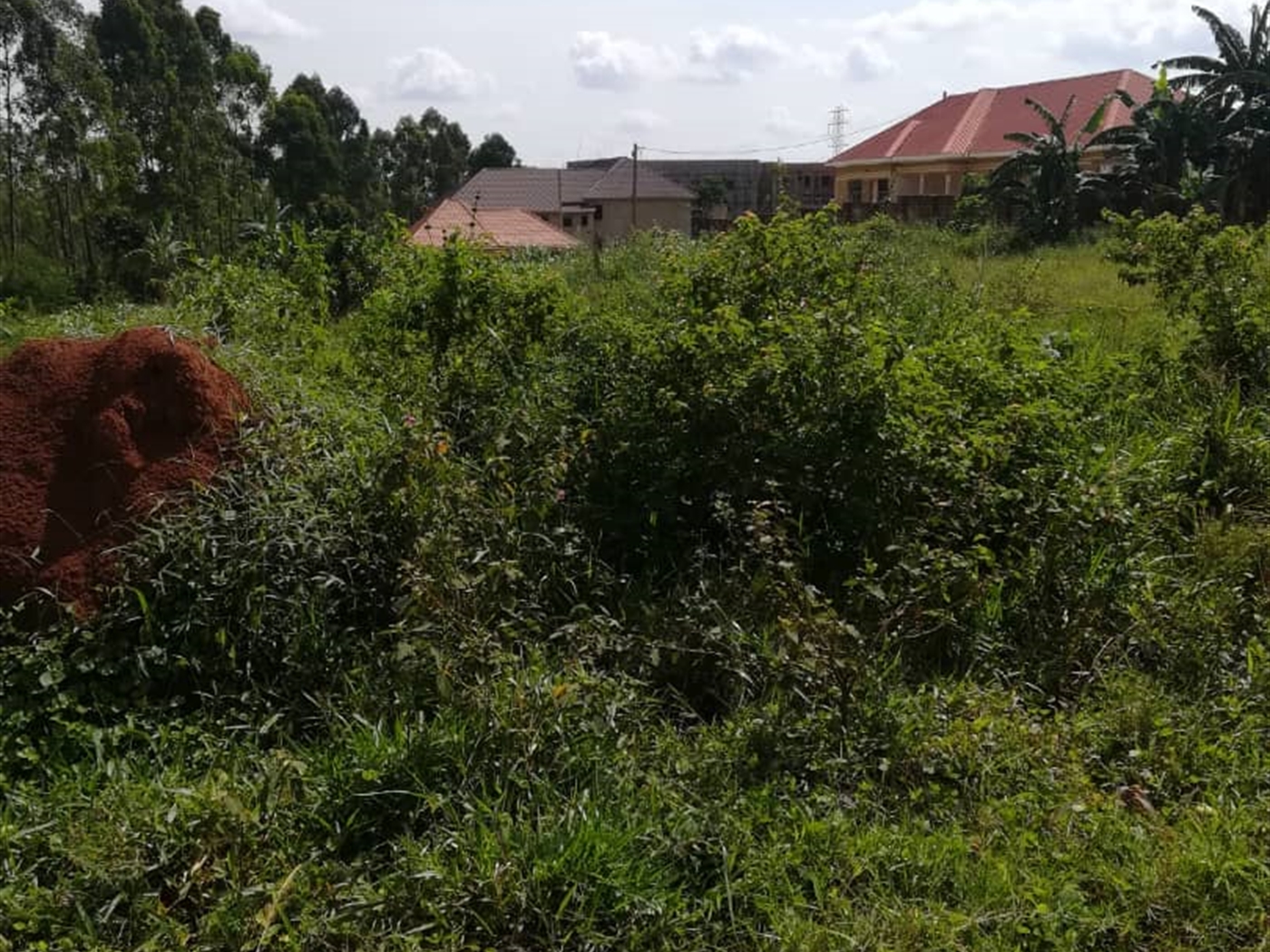 Residential Land for sale in Kigunga Mukono