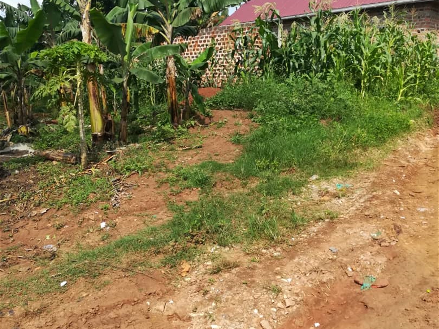 Residential Land for sale in Kigunga Mukono