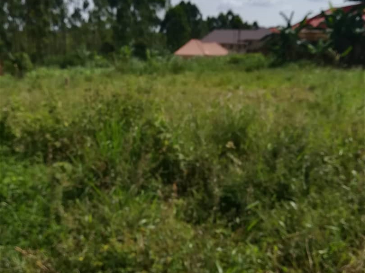 Residential Land for sale in Nasuuti Mukono