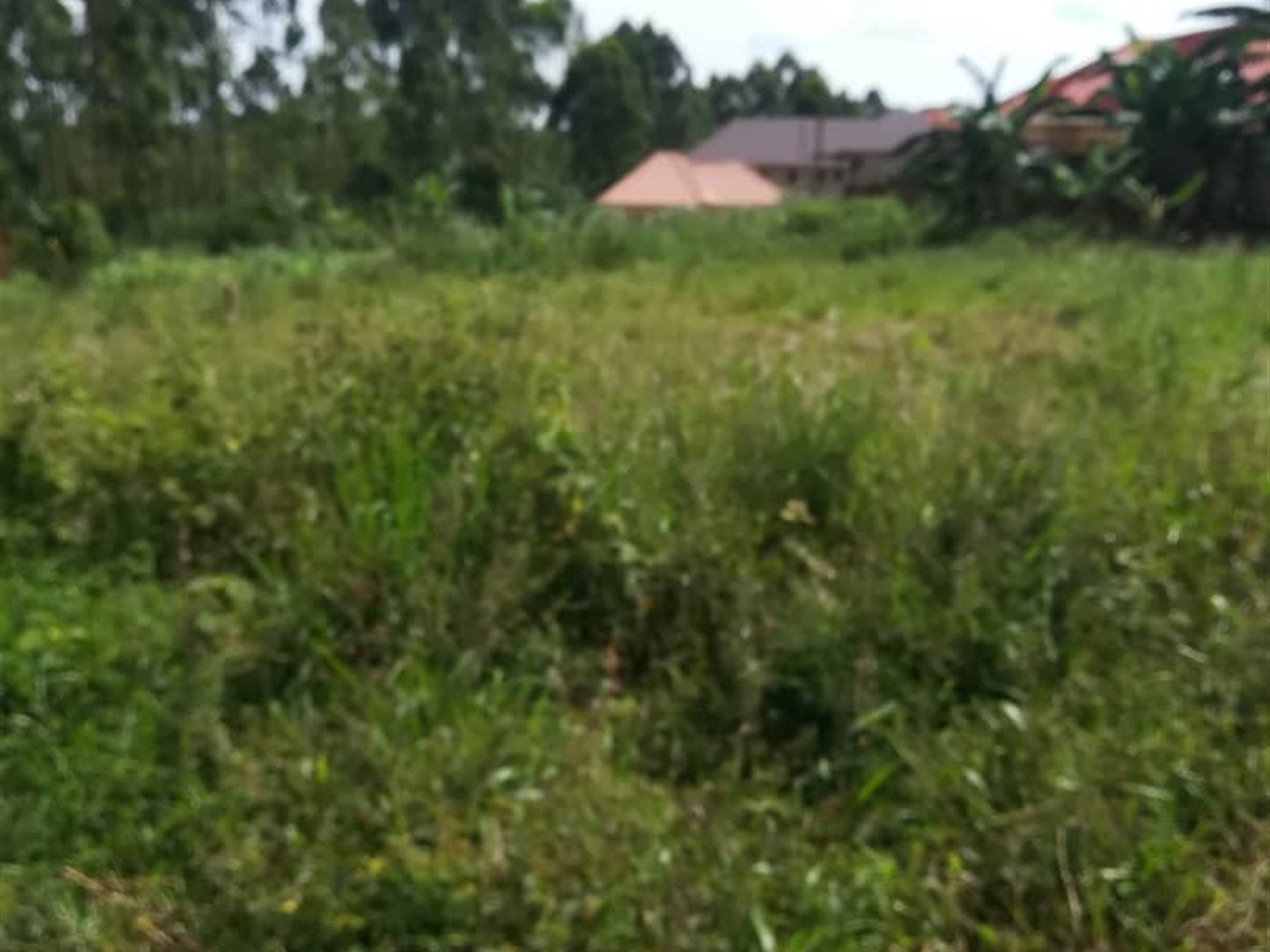 Residential Land for sale in Nasuuti Mukono