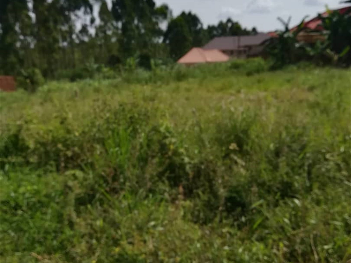 Residential Land for sale in Nasuuti Mukono