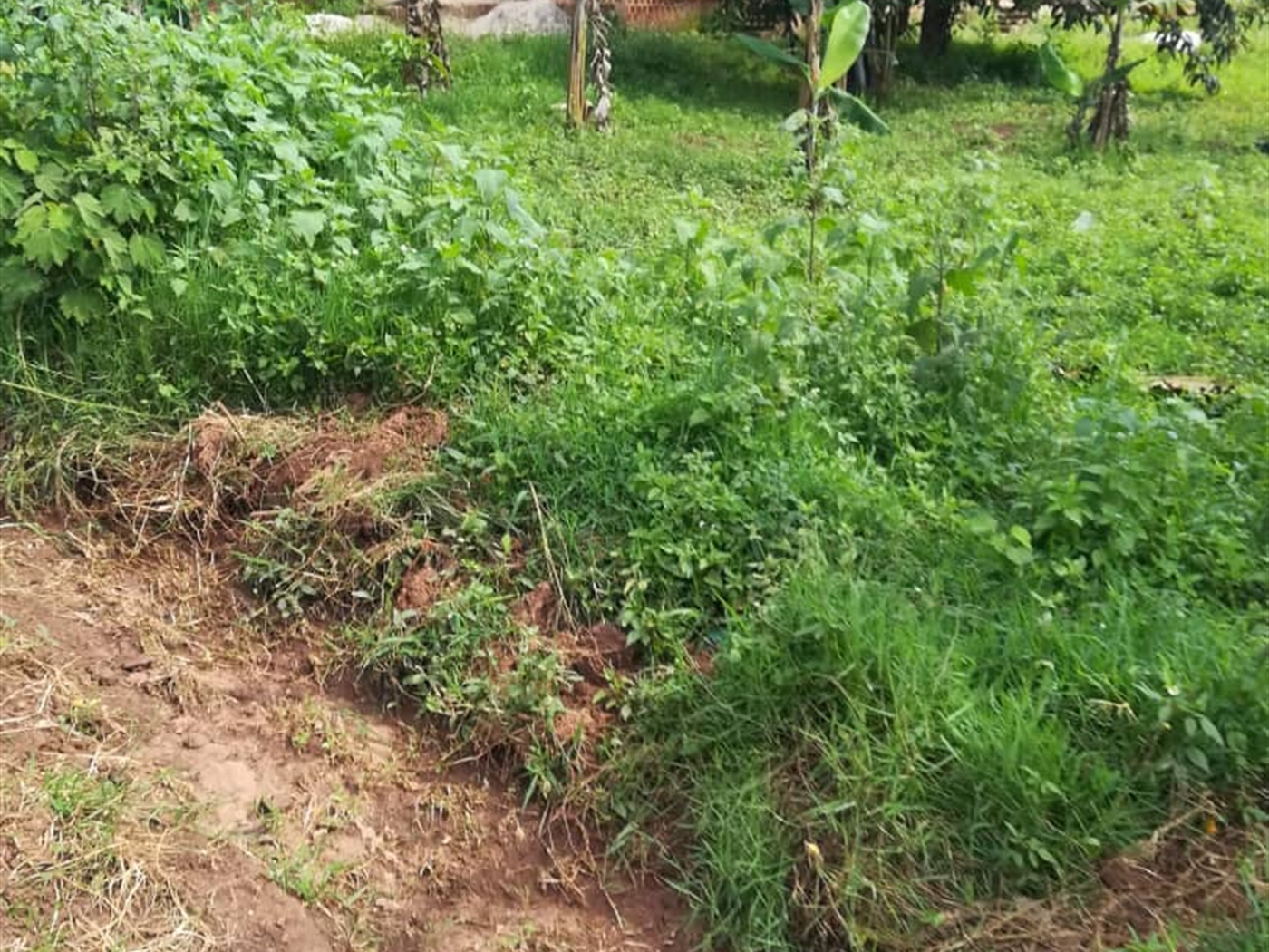 Residential Land for sale in Nasuuti Mukono