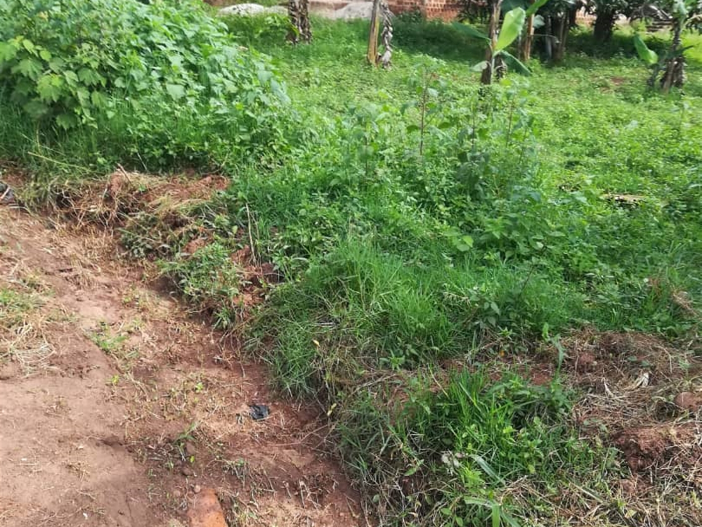 Residential Land for sale in Nasuuti Mukono