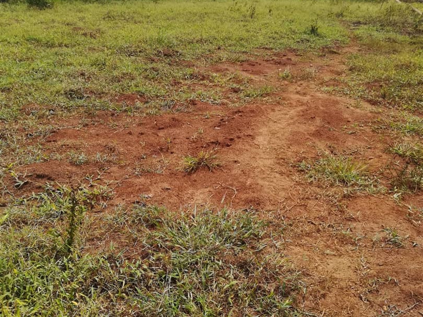 Residential Land for sale in Kusatu Mukono