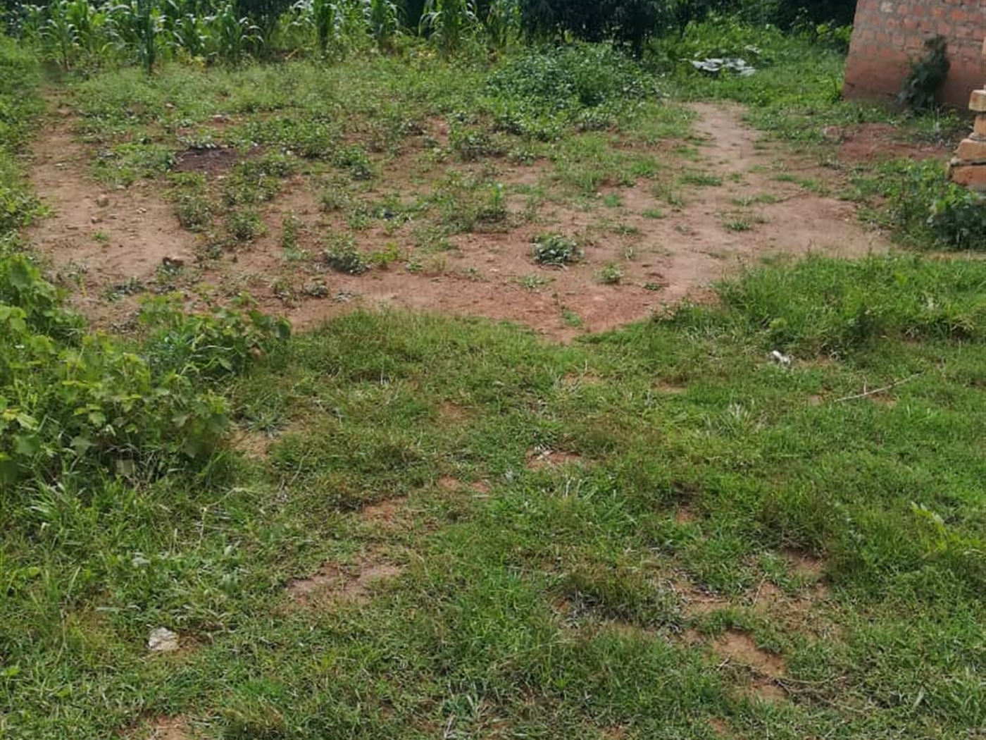 Residential Land for sale in Kusatu Mukono