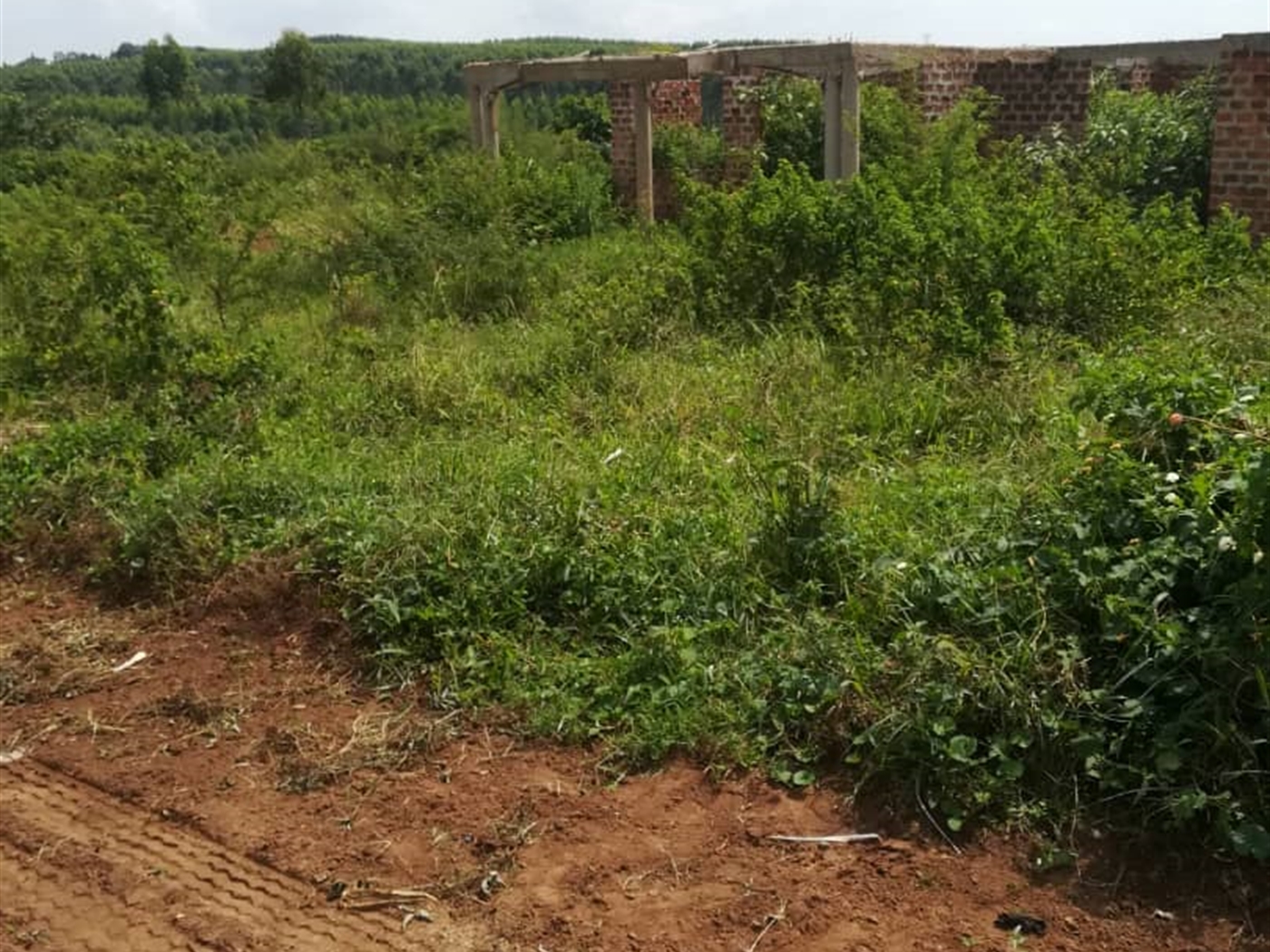 Residential Land for sale in Kusatu Mukono