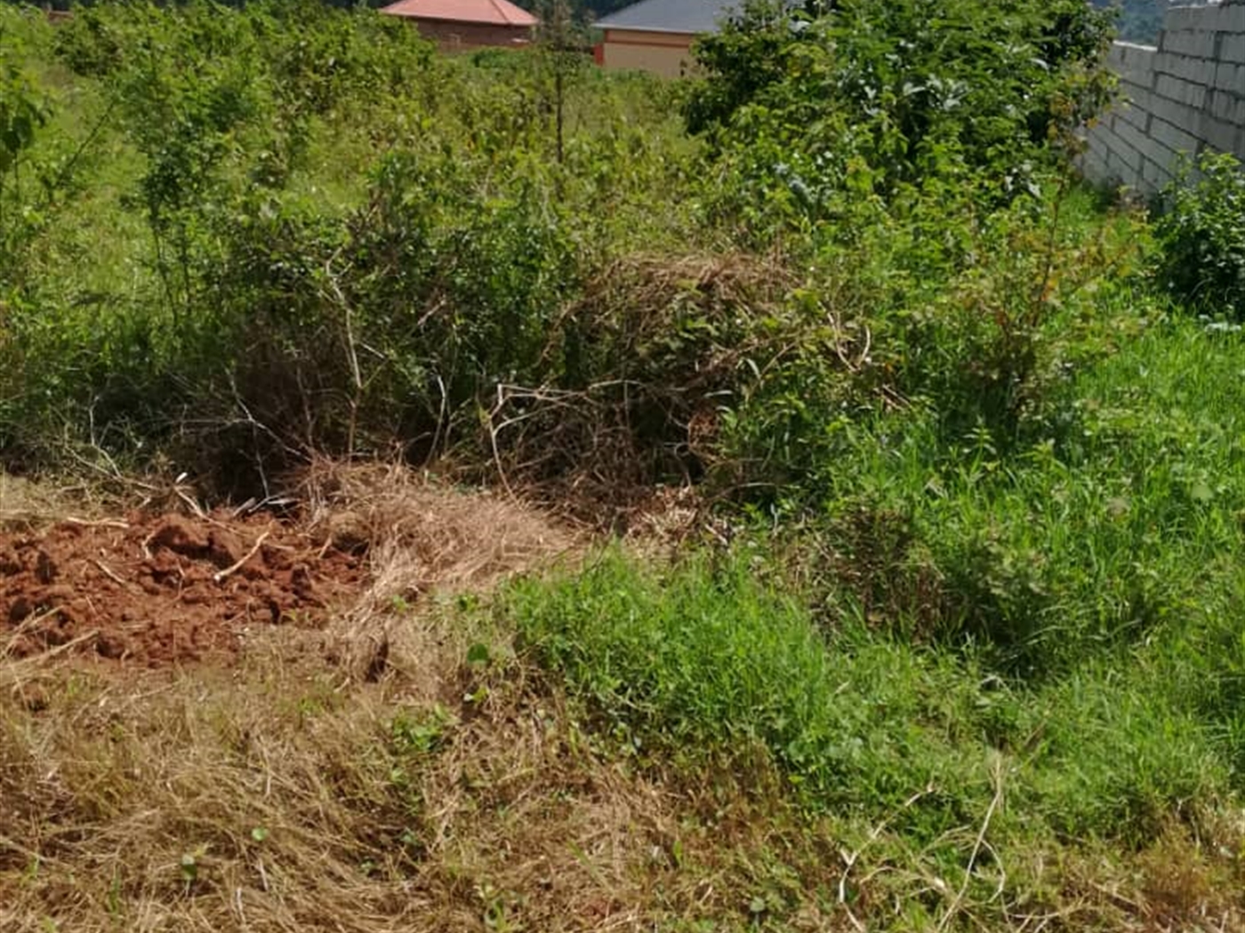 Residential Land for sale in Kusatu Mukono