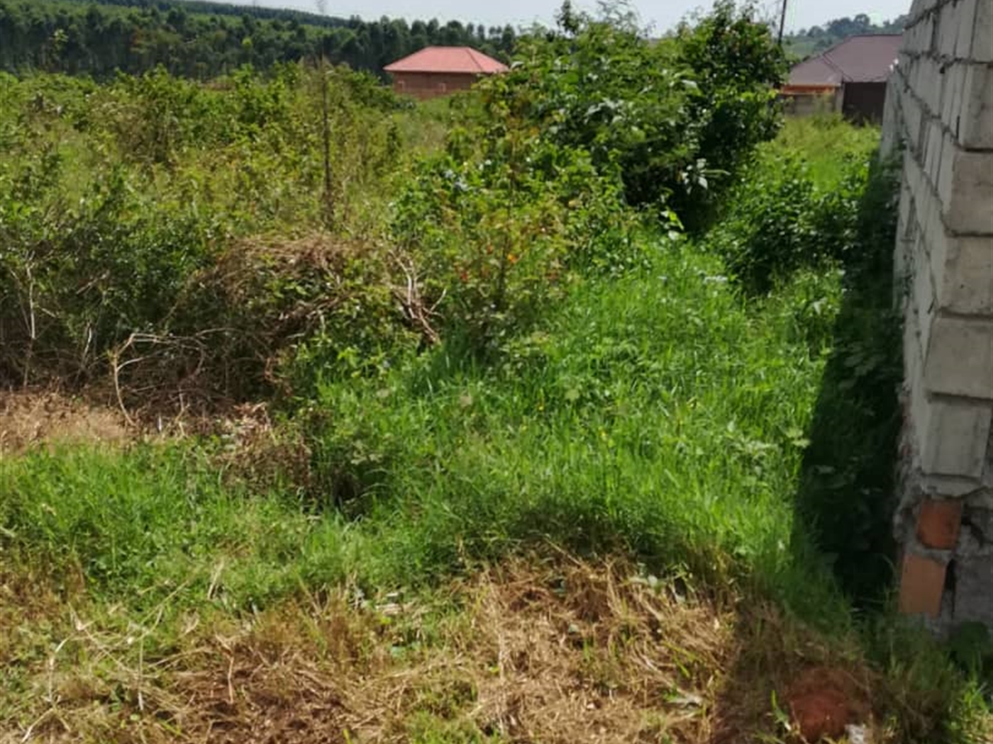 Residential Land for sale in Kusatu Mukono
