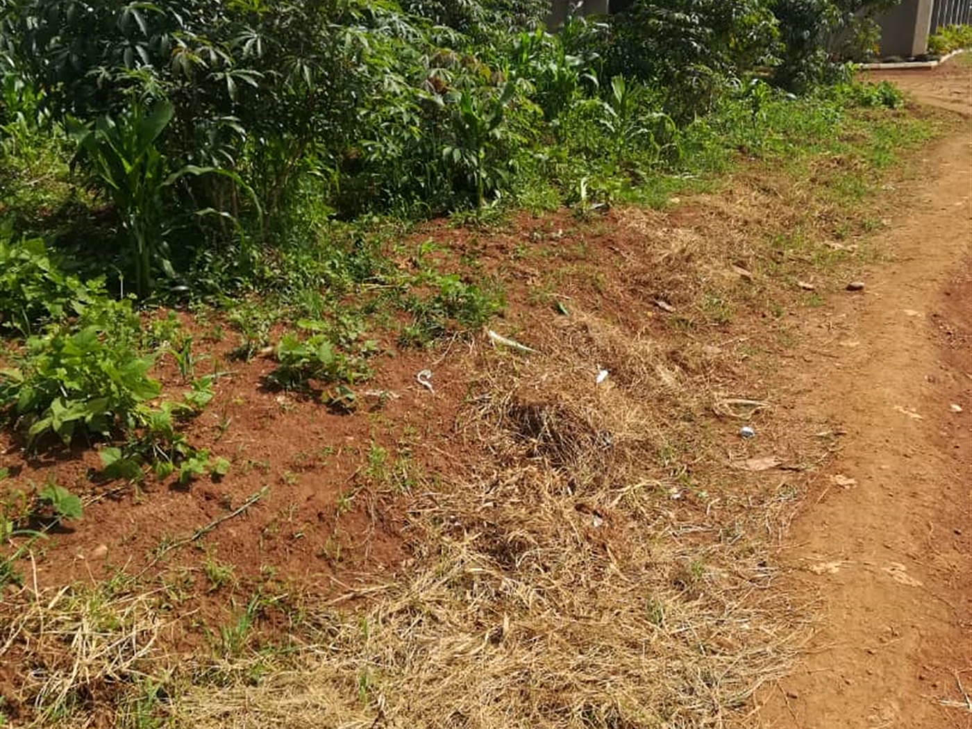 Residential Land for sale in Kusatu Mukono