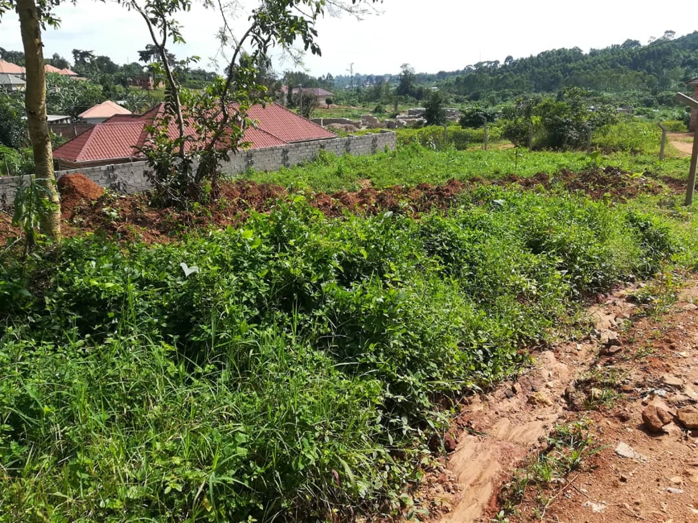 Residential Land for sale in Kusatu Mukono