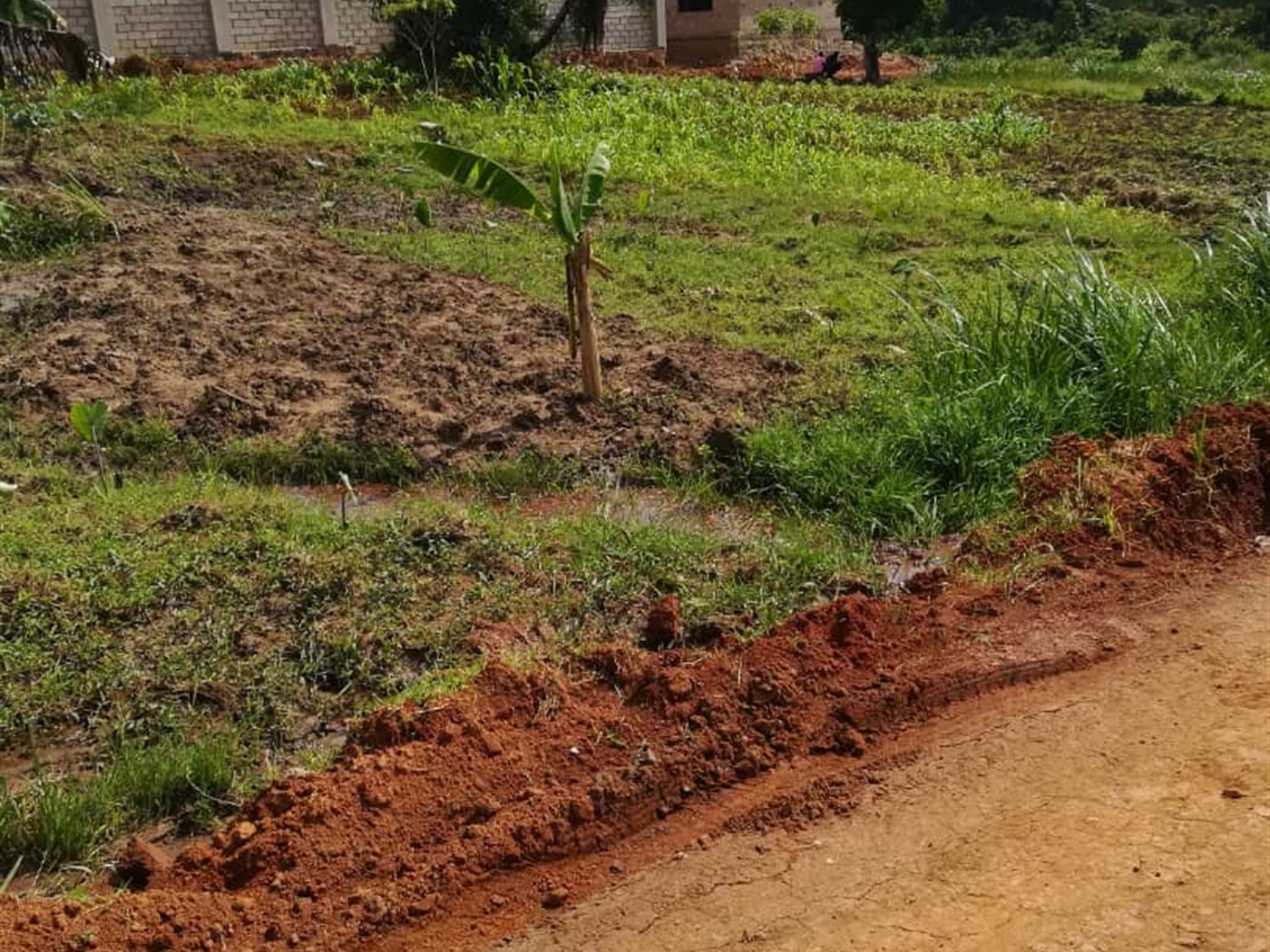 Residential Land for sale in Bukeelele Mukono