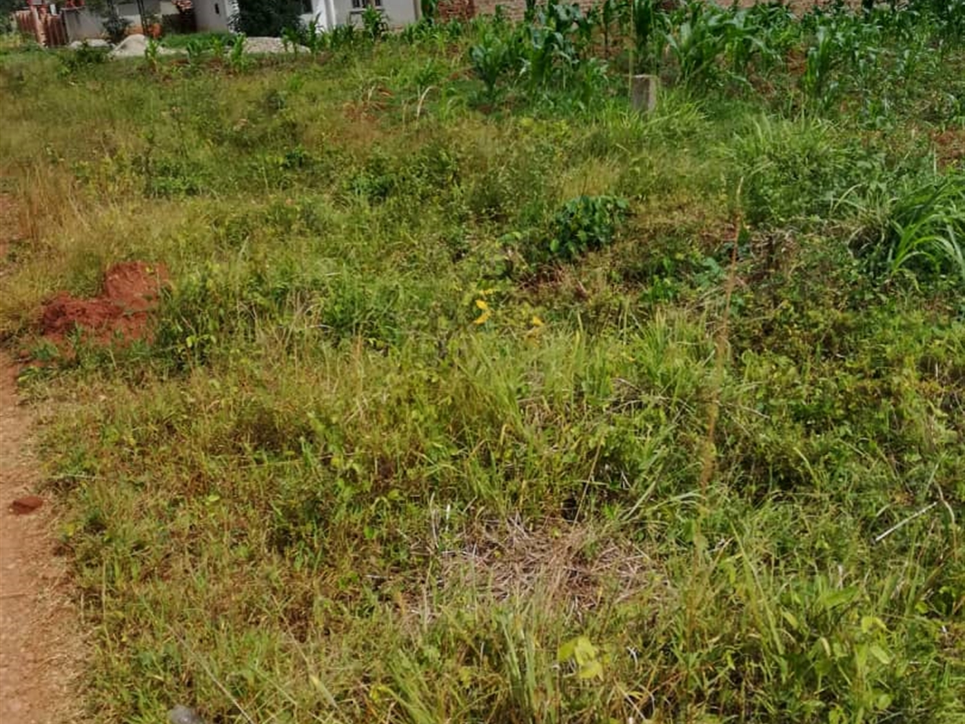 Residential Land for sale in Bukeelele Mukono