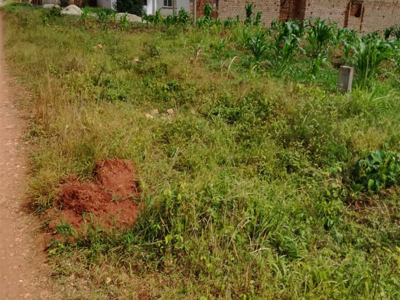 Residential Land for sale in Bukeelele Mukono