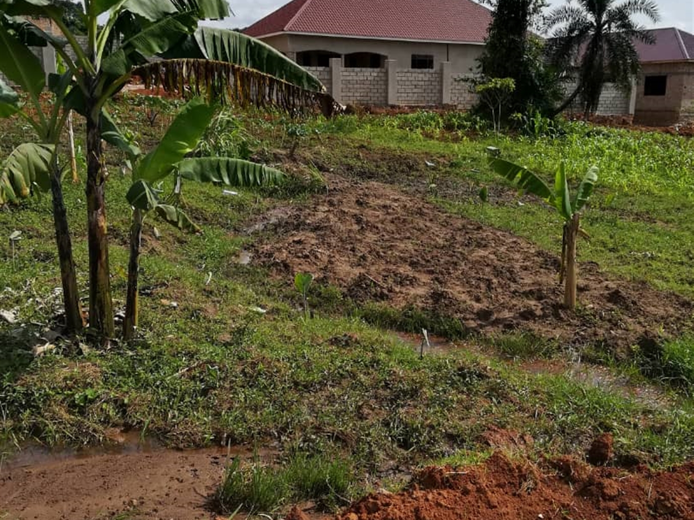 Residential Land for sale in Bukeelele Mukono