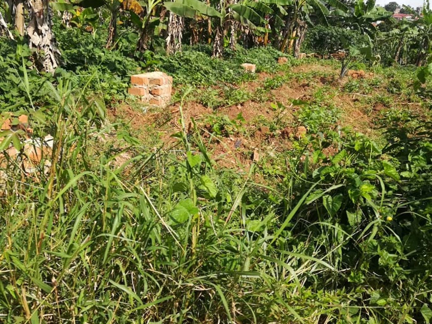 Residential Land for sale in Bukeelele Mukono