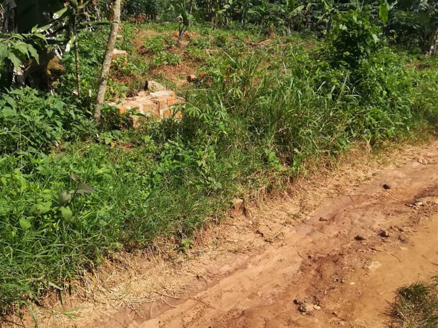 Residential Land for sale in Bukeelele Mukono