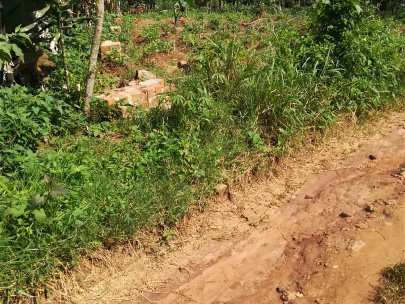 Residential Land for sale in Bukeelele Mukono