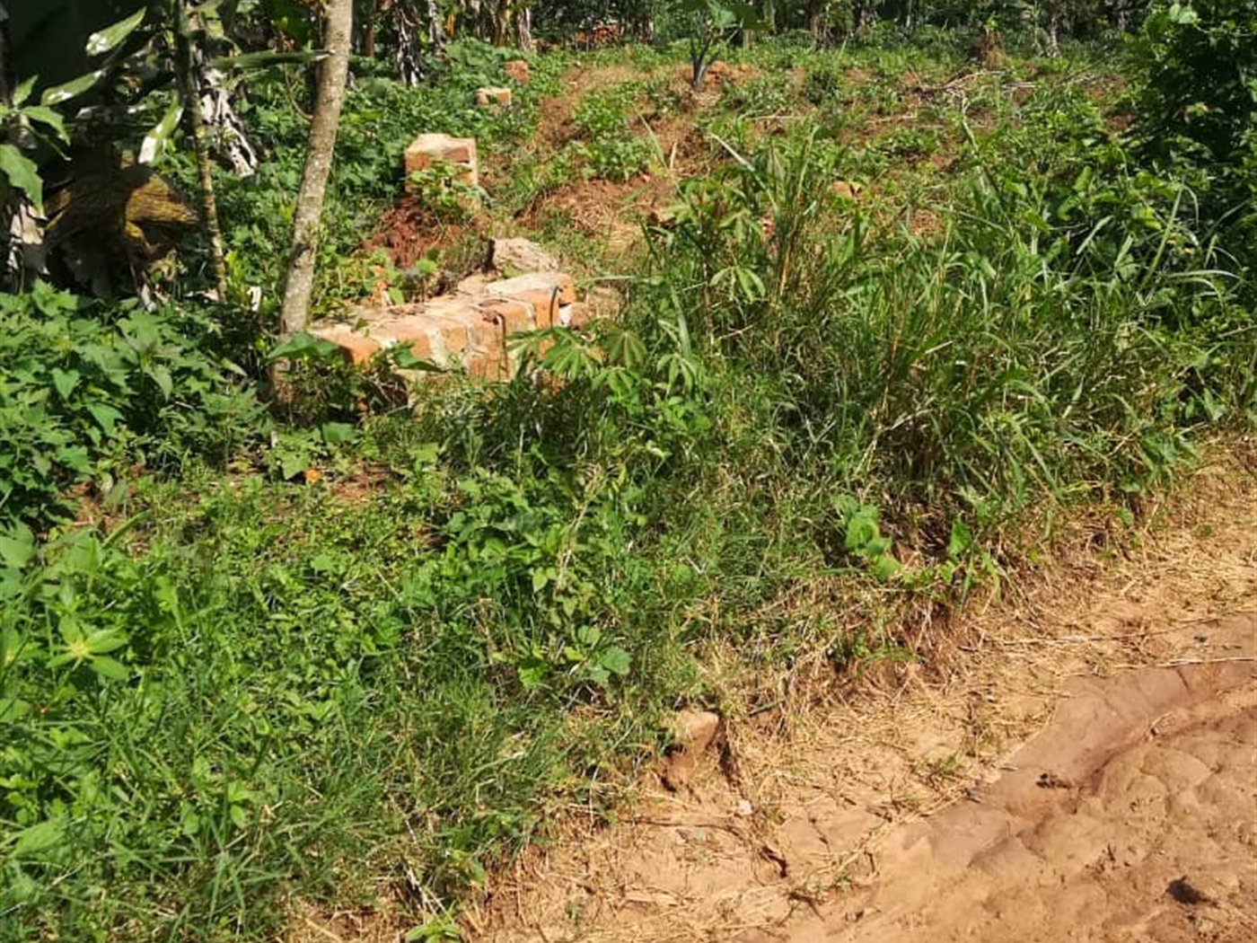 Residential Land for sale in Bukeelele Mukono