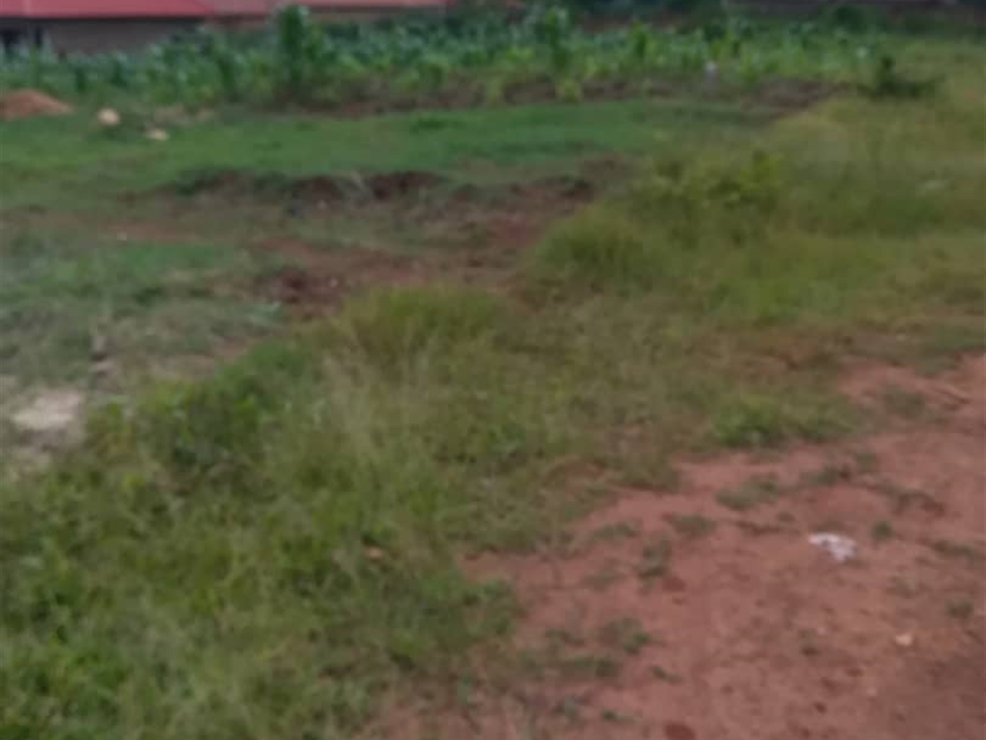 Residential Land for sale in Bukeelele Mukono