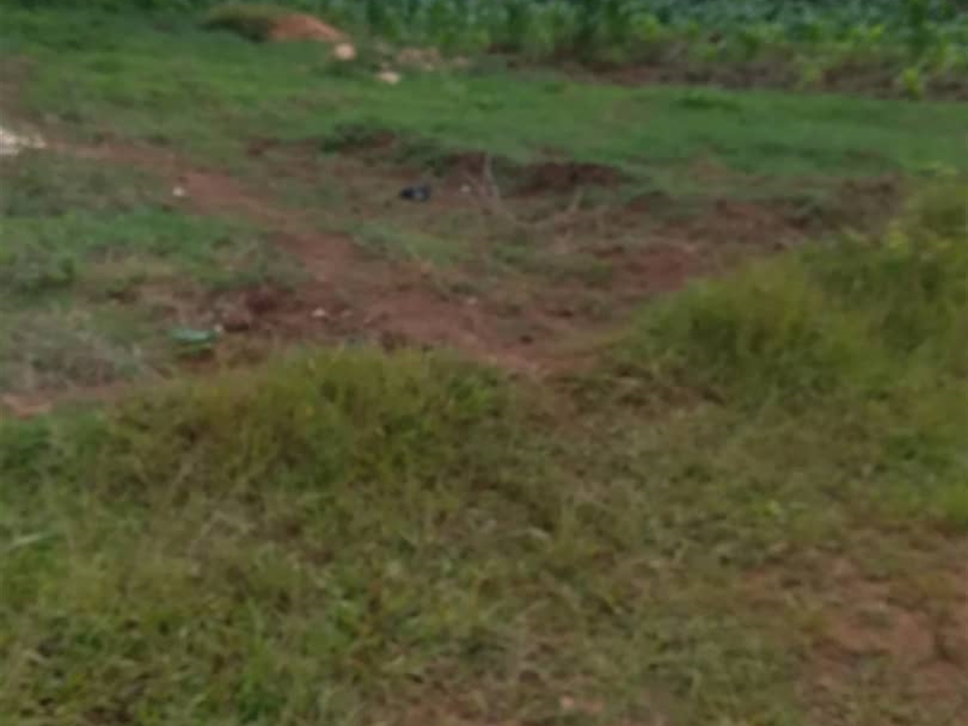 Residential Land for sale in Bukeelele Mukono