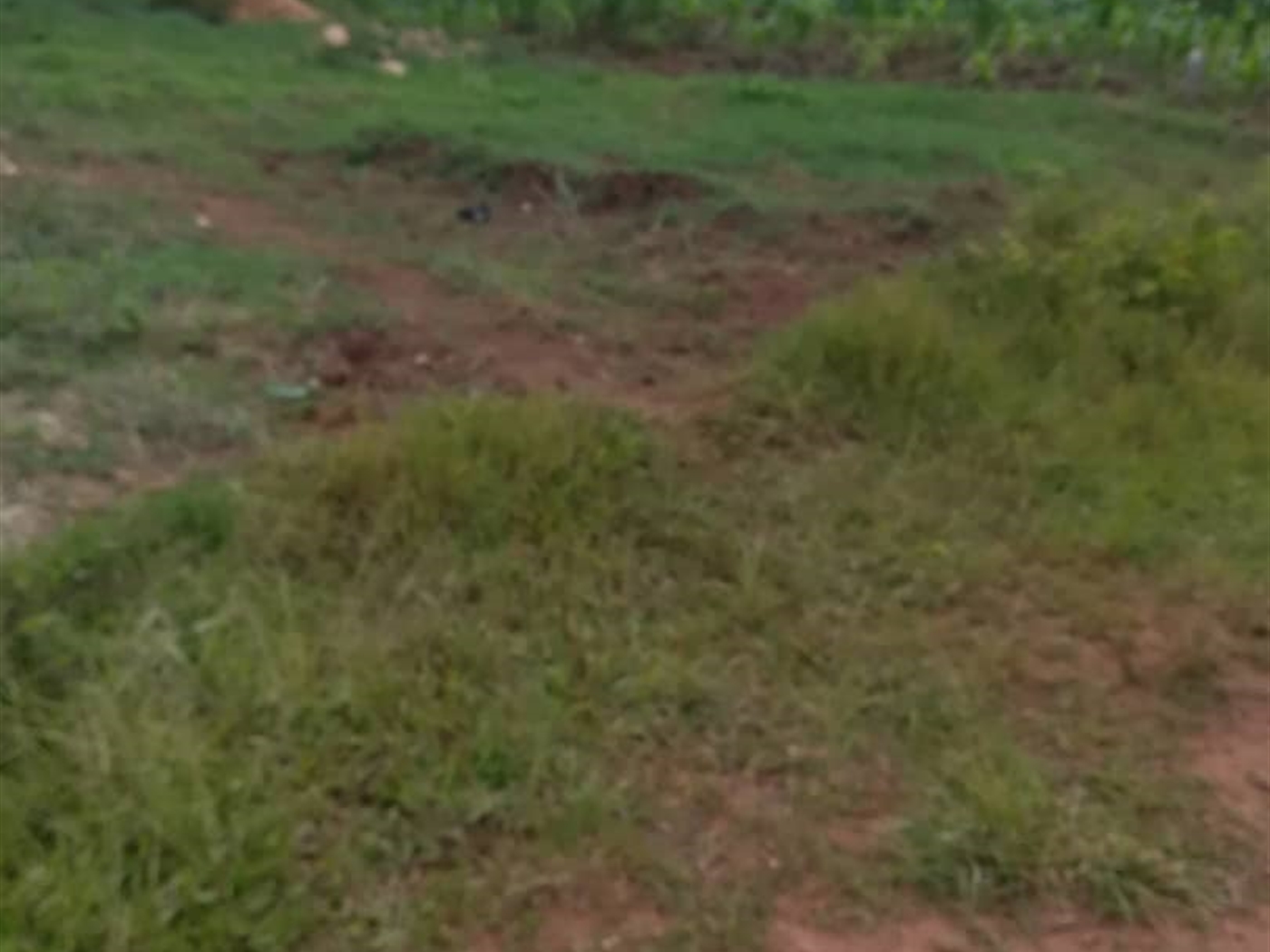 Residential Land for sale in Bukeelele Mukono