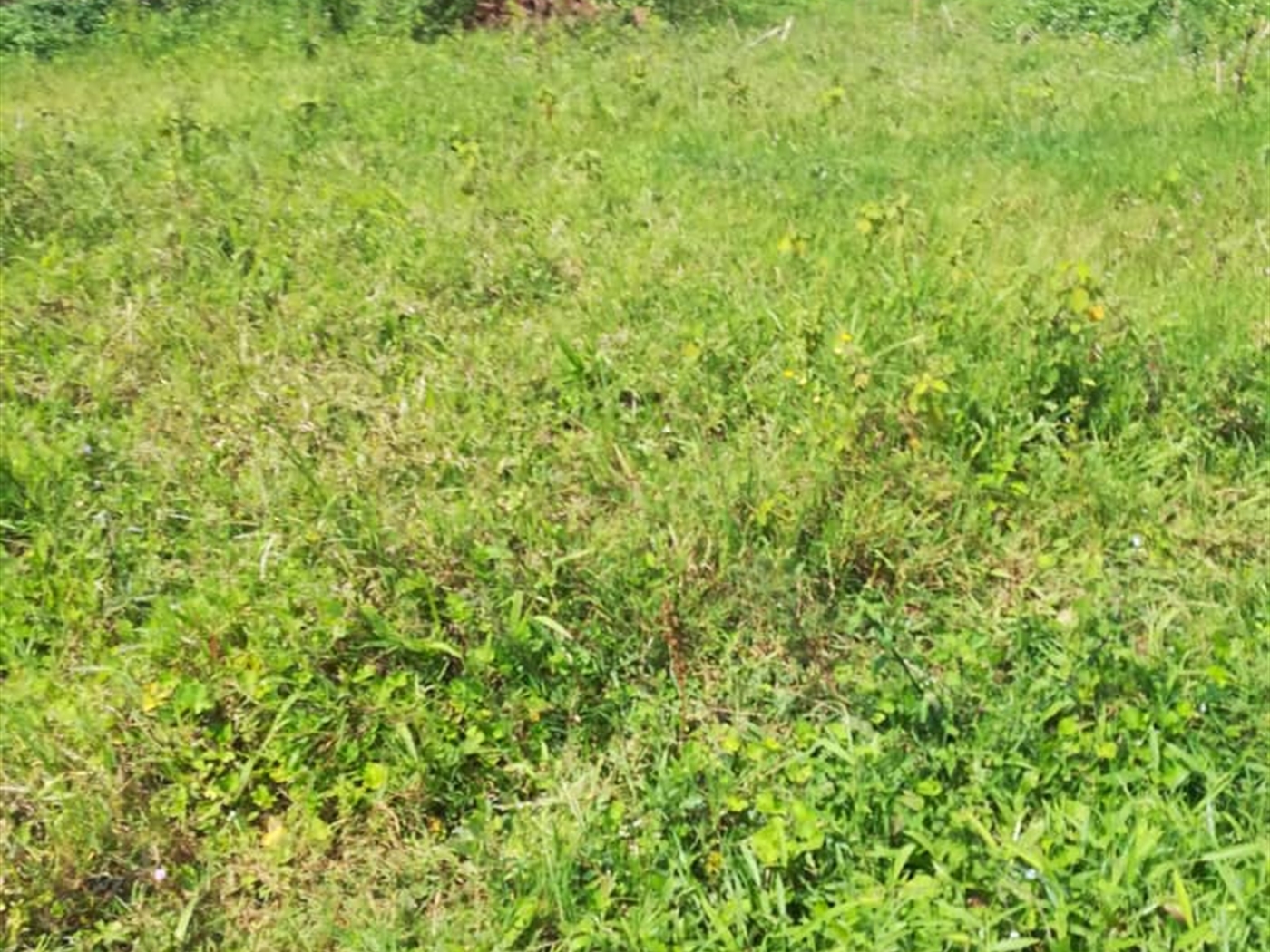 Residential Land for sale in Kilowooza Mukono