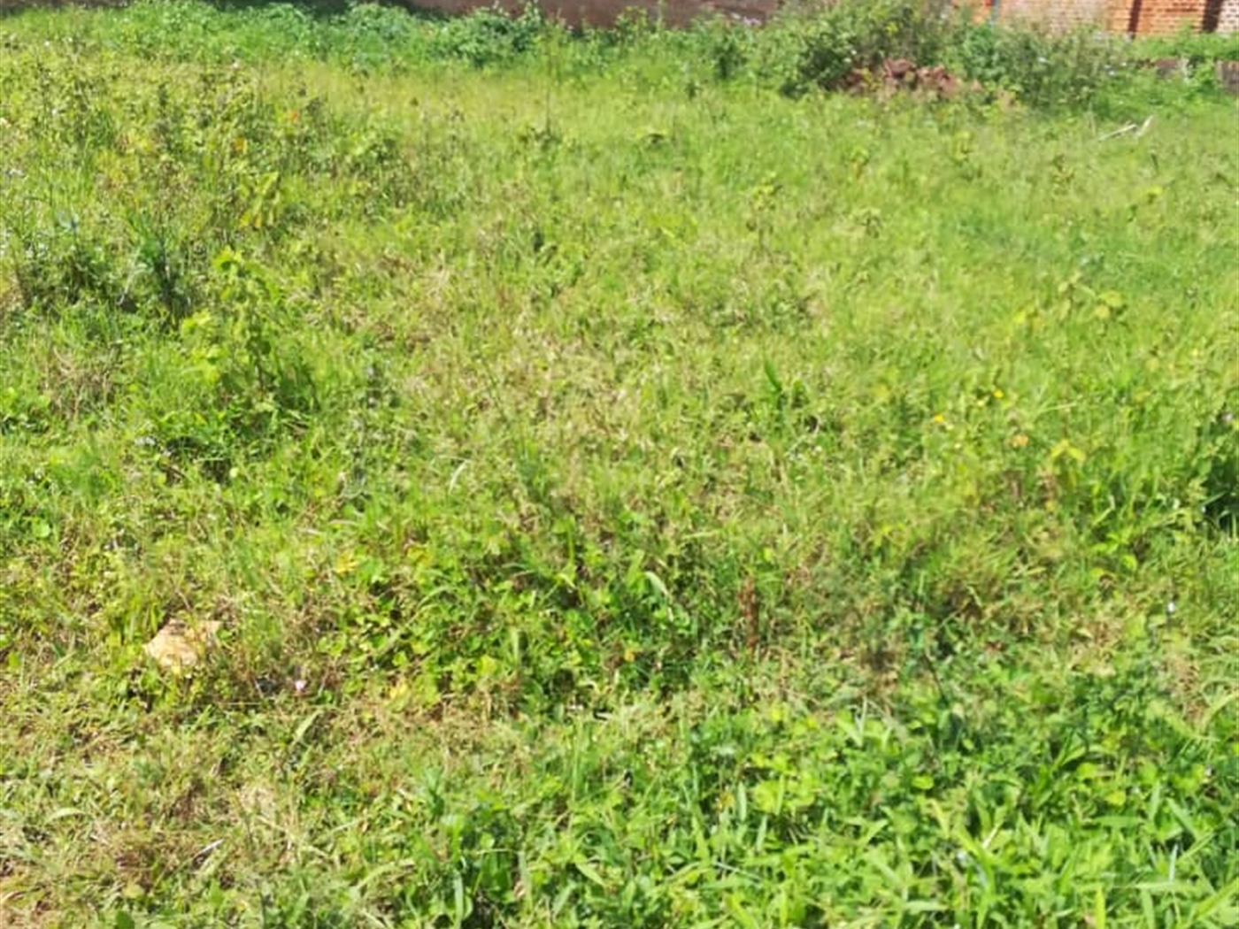 Residential Land for sale in Kilowooza Mukono