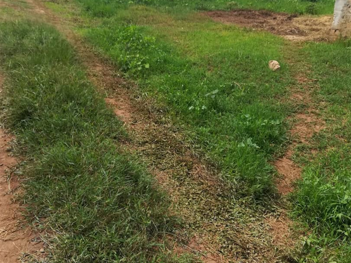 Residential Land for sale in Kilowooza Mukono