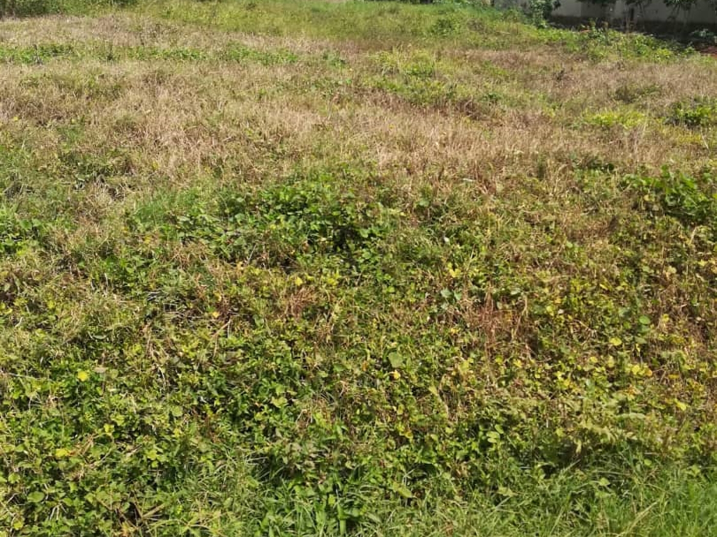 Residential Land for sale in Kilowooza Mukono