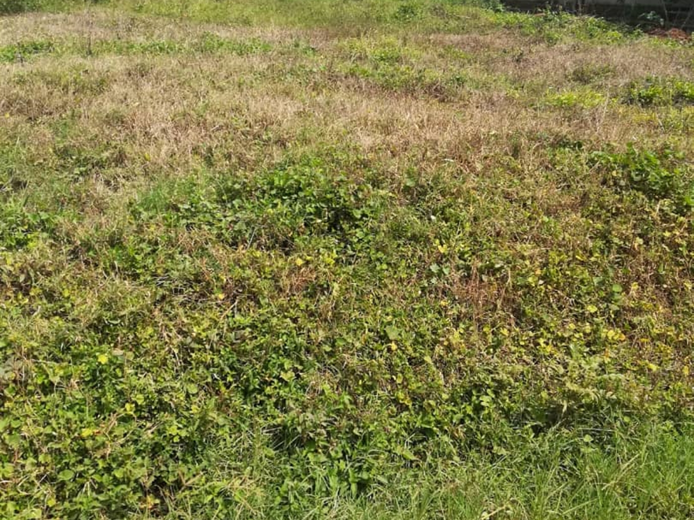 Residential Land for sale in Kilowooza Mukono