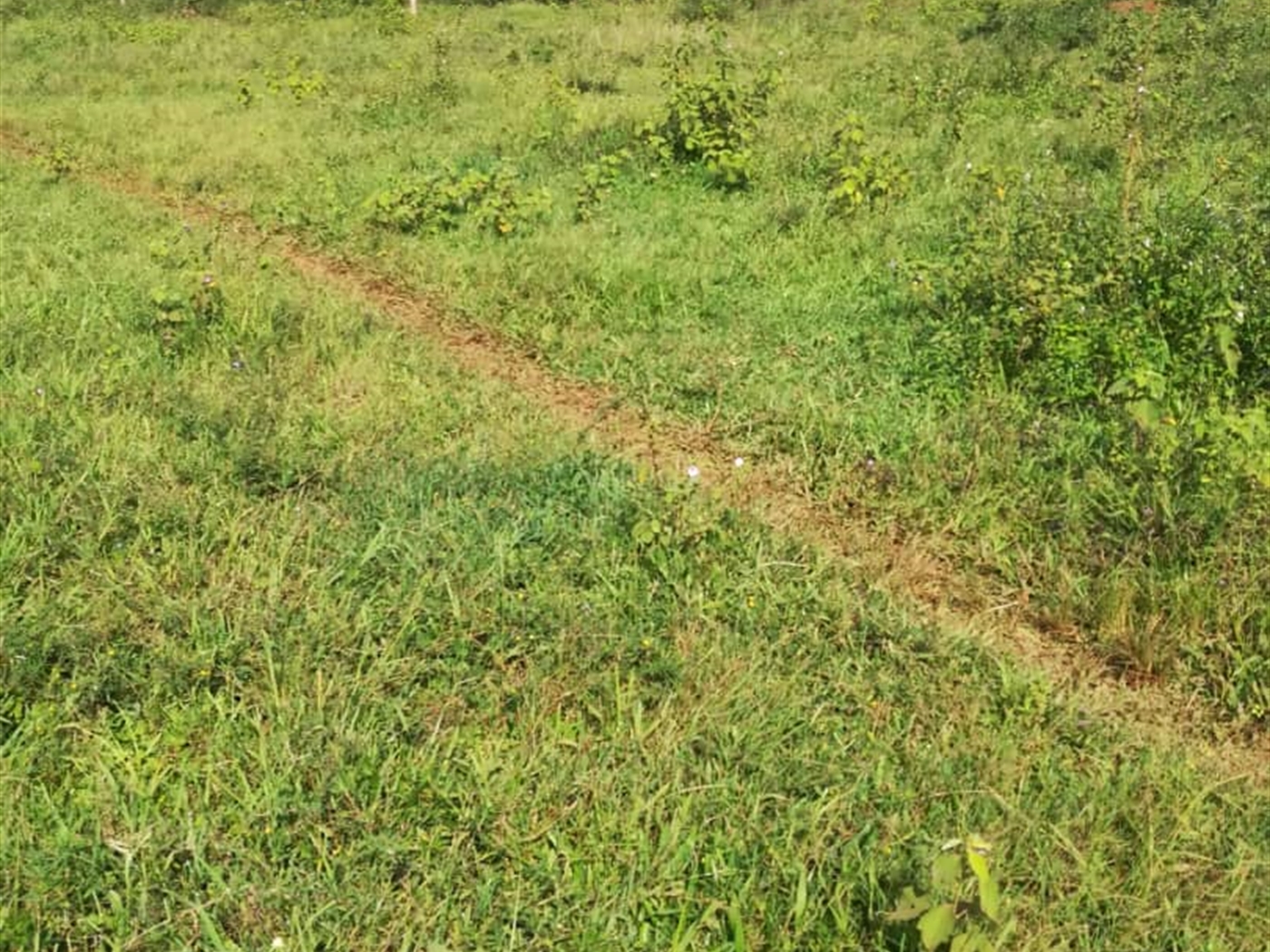 Residential Land for sale in Kisowela Mukono