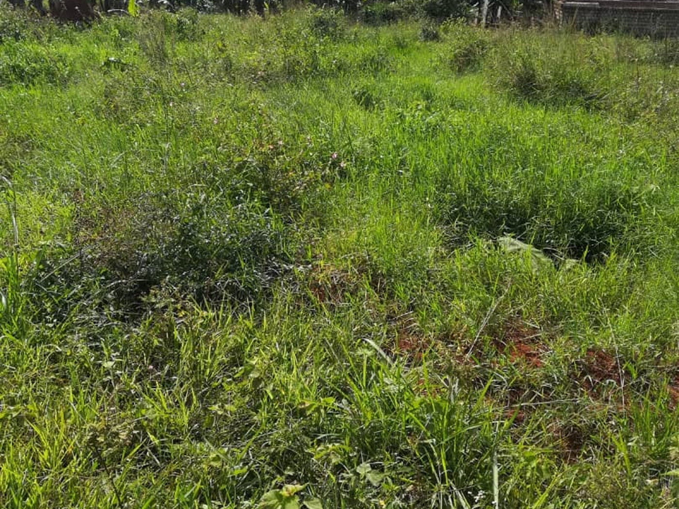 Residential Land for sale in Kisowela Mukono