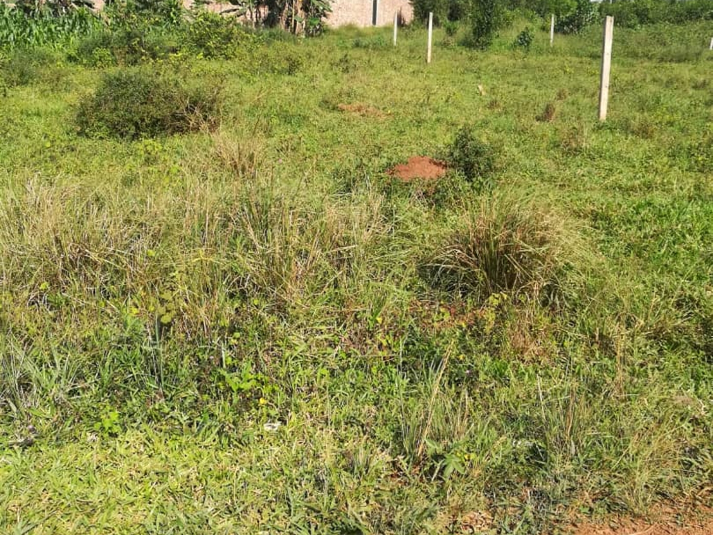 Residential Land for sale in Kisowela Mukono