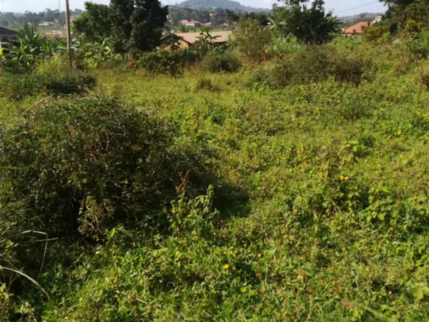 Residential Land for sale in Kisowela Mukono