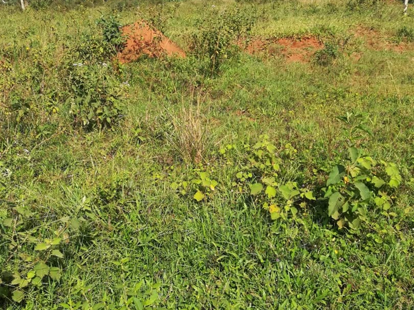 Residential Land for sale in Kisowela Mukono